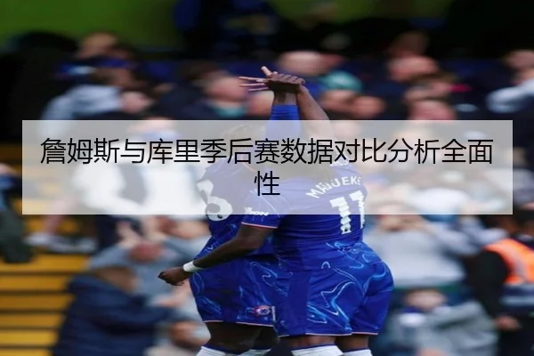 詹姆斯与库里季后赛数据对比分析全面性